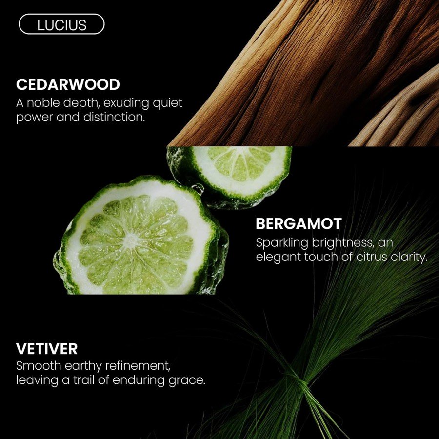 Lucius Parfum - Fragrance Du Bois 4